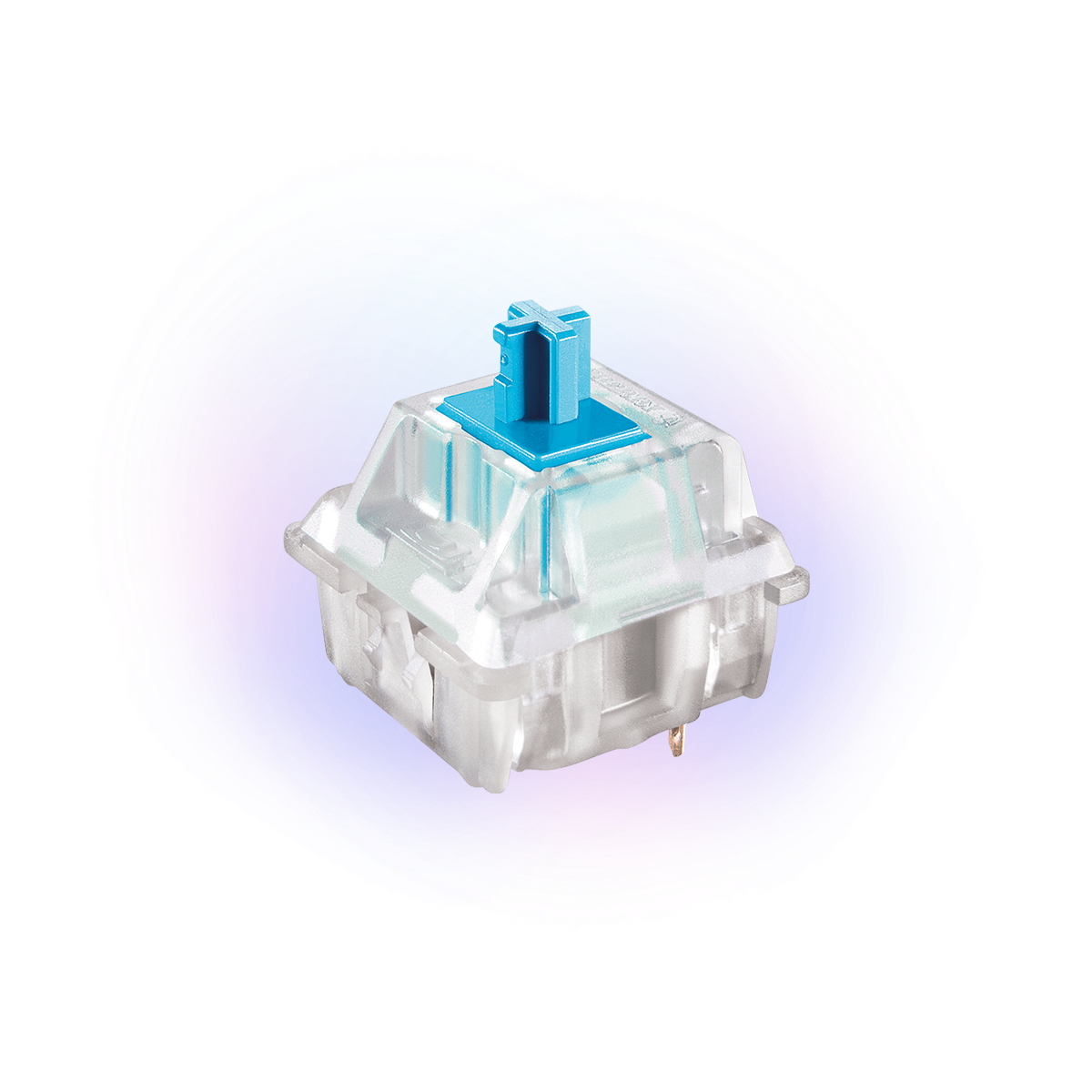 Extra Switches