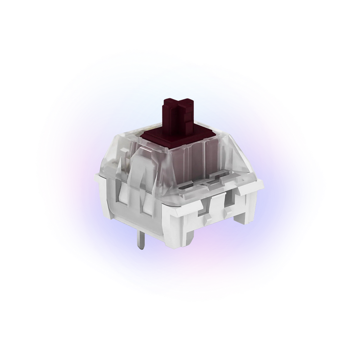 Extra Switches