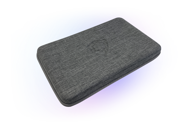 Raise 2 travel case